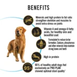 Pro Plan Chicken Large Breed Adult Dog Dry Food (New Improved Formula) - Image 12