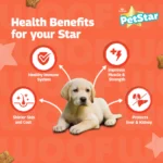 Mankind Petstar Milk and Wheat Puppy Dog Dry Food - Image 7