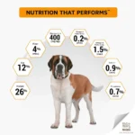 Pro Plan Chicken Large Breed Adult Dog Dry Food (New Improved Formula) - Image 13
