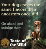 Taste of the Wild Pacific Stream Smoked Salmon Adult Dog Dry Food | Grain Free Formula - Image 3