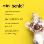 Henlo Chicken & Vegetable Baked Dry Food for Puppies | 100% human grade ingredients - Image 13