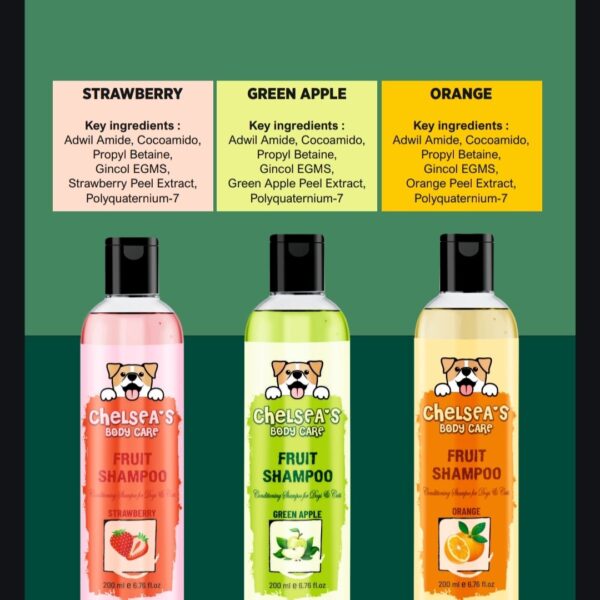 DR.Chelsea's Green Apple Shampoo & Conditioning for Dogs