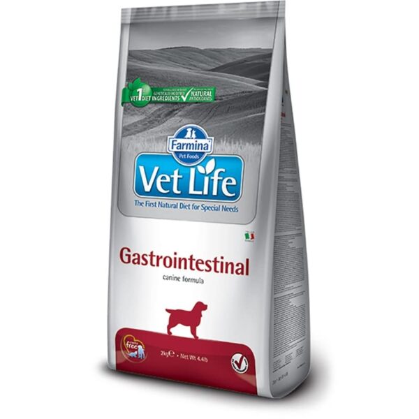 DynamicSales (India) Vet Life Gastrointestinal Adult Dog Food, 2kg
