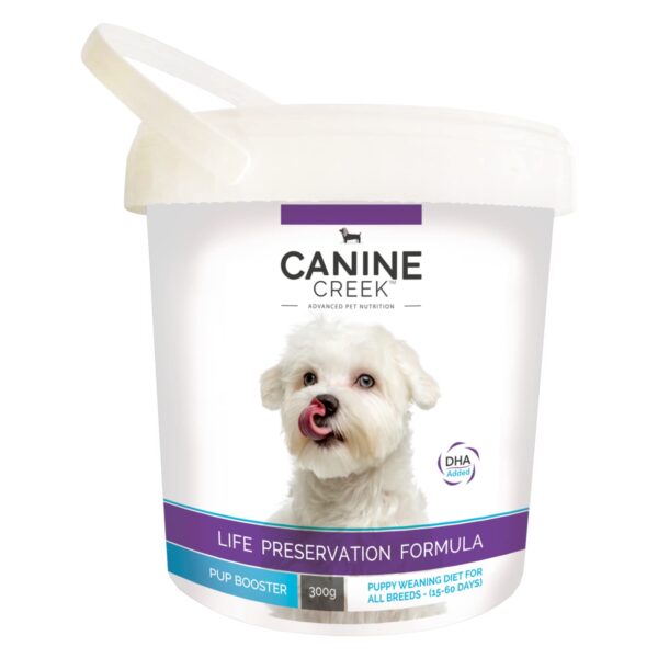 Canine Creek