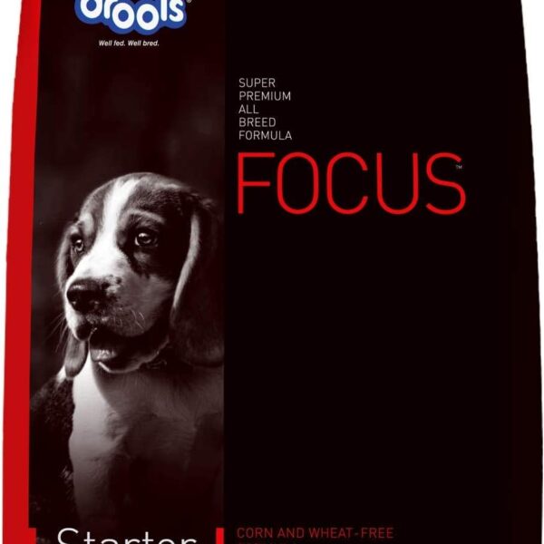 Focus Starter Super Premium Dry Dog Food 1.2kg Pack | Chicken Flavour | Brain Development | Antioxidants like Vitamin E & C | Energy and Essential Nutrients