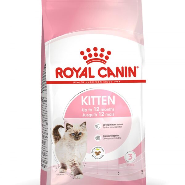 Royal Canin Second Age Kitten Food, 400 Grams, Dry Food containing Antioxidants with no artificial colors & flavors, Supports Brain Development & Microbiome, Promotes a strong Immune System