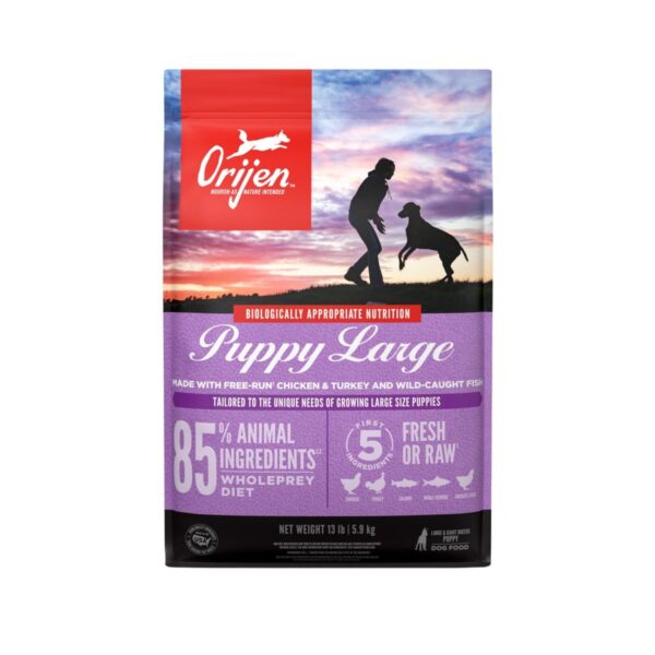 Orijen Large Puppy Formula Dog Food, 13 lb