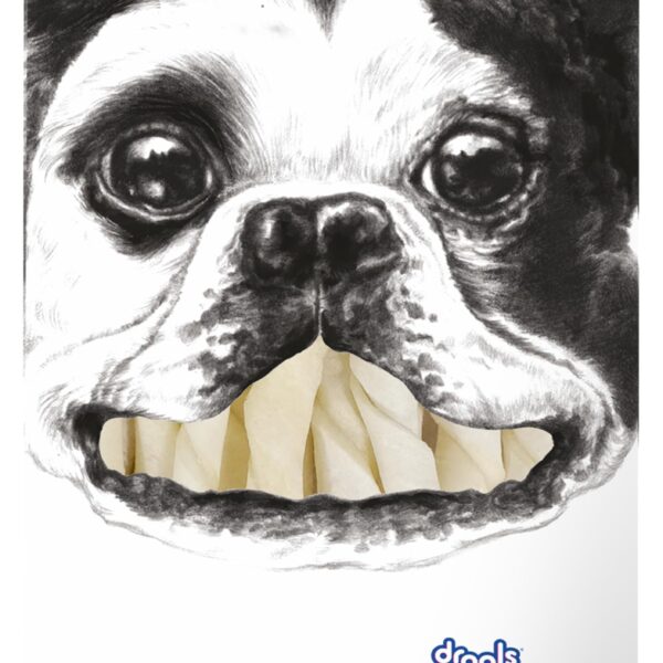 Rawhide Sticks 300g | All Life Stages | Digestive Support | Easy to Chew | Healthy Treats | Training Friendly
