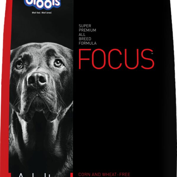 Focus Adult Super Premium Dry Dog Food, 12 kg (+1kg Free Inside) Total 13 Kg Pack | Chicken Flavour | Healthy Digestive System | Bone & Joint Health | Dental Health | Healthy Skin & Coat