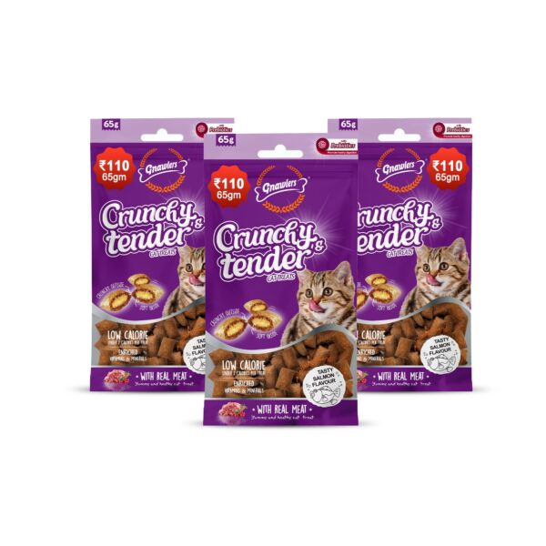 Crunchy & Tender Cat Treats 65g - Salmon Flavour (Pack of 3) By shubhdoggolife