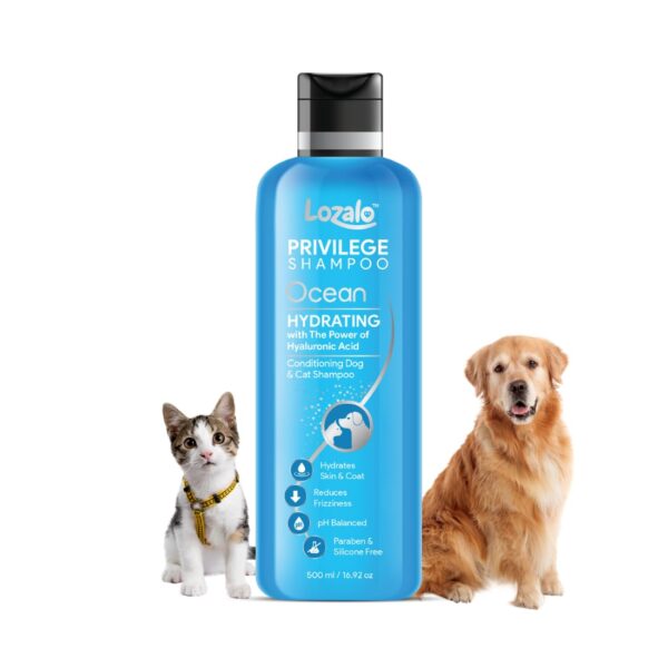 Lozalo Privilege Pet Conditioning Shampoo - 500 ml, Ocean Scent, Hydrating with Hyaluronic Acid, Coat Cleansing, Paraben Free for Healthy Skin & Shiny Coat in Dogs and Cats