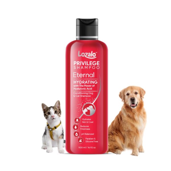 Lozalo Privilege Pet Conditioning Shampoo- 250 Milliliter, Eternal|Hydrating Shampoo with Hyaluronic Acid|Coat Cleansing, Paraben Free Shampoo for Dogs and Cats