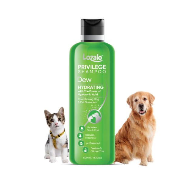 Lozalo Privilege Pet Conditioning Shampoo - 500ml, Dew Fragrance, Hydrating Shampoo with Hyaluronic Acid, Coat Cleansing, Paraben Free Shampoo to Promote Healthy Skin&Shiny Coats for Dogs and Cats