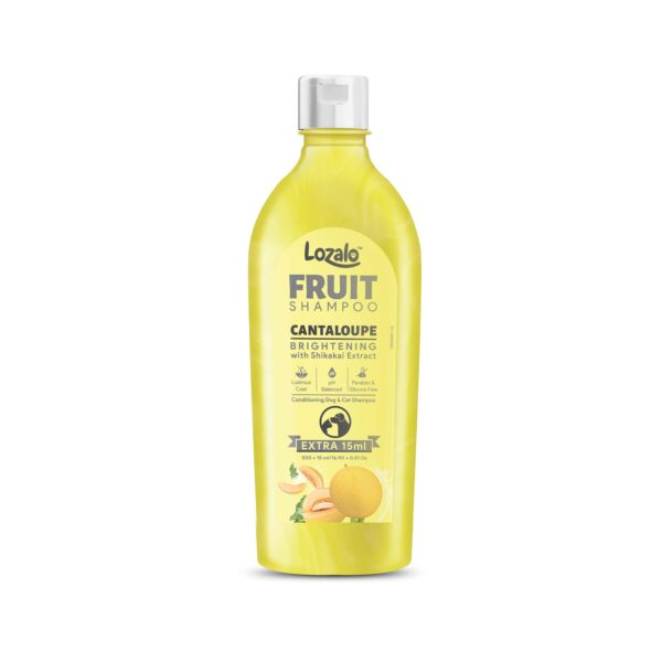 Lozalo Fruit Pet Shampoo 200 ml, Cantaloupe, pH Balanced, Paraben Free Conditioning Shampoo for Dogs & Cats of All Breeds, Controls Bad Odour & Keep Pets Calm, Brightening with Shikakai Extract